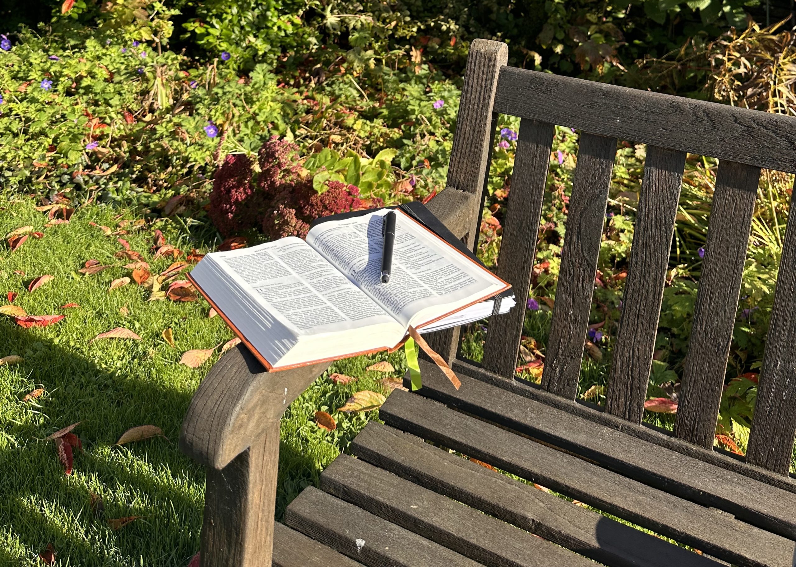 Bible Bench
